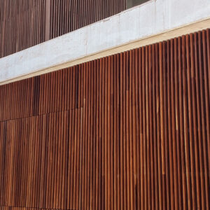revestimientos en madera para paredes exteriores